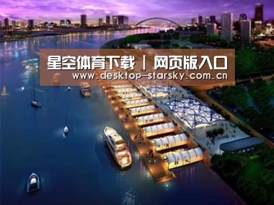 案例展示八