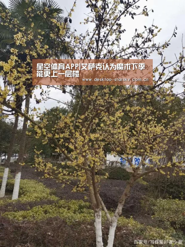 星空体育下载