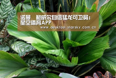 星空体育APP