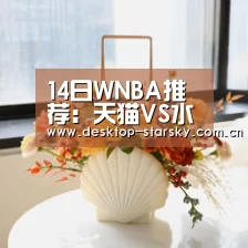14日WNBA推荐：天猫VS水银-星空体育APP(图1)